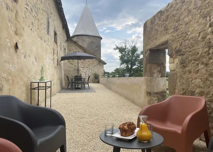 Demeure De Caractere Avec Animaux Acceptes - Fr-1-489-457 * Vernusse